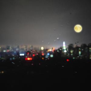 GayChinese吞精合集
